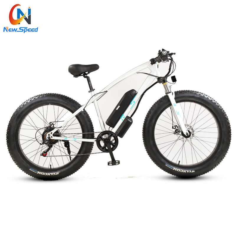 Factory Custom Electric Snow Bike Aluminium/Steel Frame 48V 300W 500 W E Bike Fatbike 24Speed Electric Bike factory