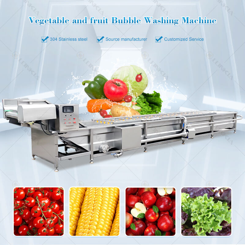 Tomato Washer Machine factory