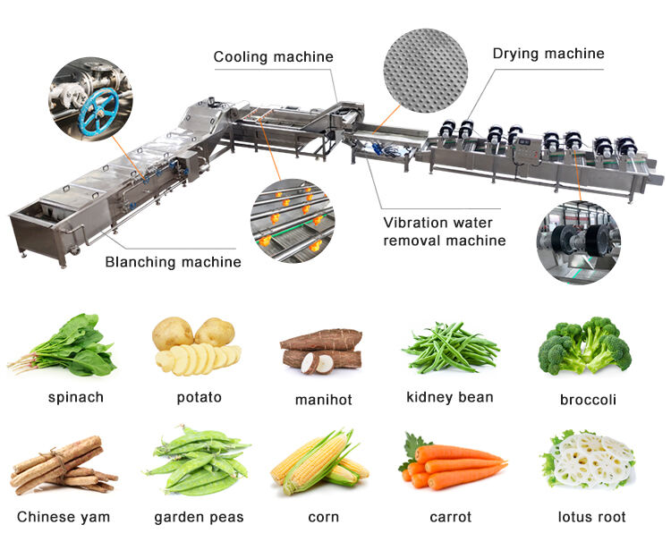 Fruits Vegetables Carrots Coconut Meat Mushroom Blanching Machine Continuous Almond Blancher Machine details