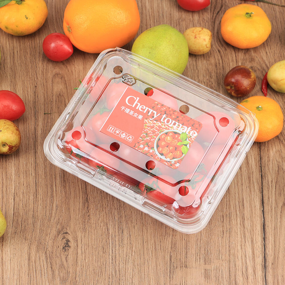 160*80mm Wholesale Food Grade SAP Absorbent Pad Fruit Vegetable Seafood Absorbent Pad for Meat factory