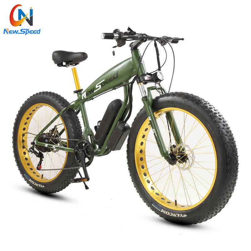 Fast Delivery Cheap High Quality Bike 26inch  Fat Bike Ebikes/Fat Tire 1000Watt Electric Bicycle factory