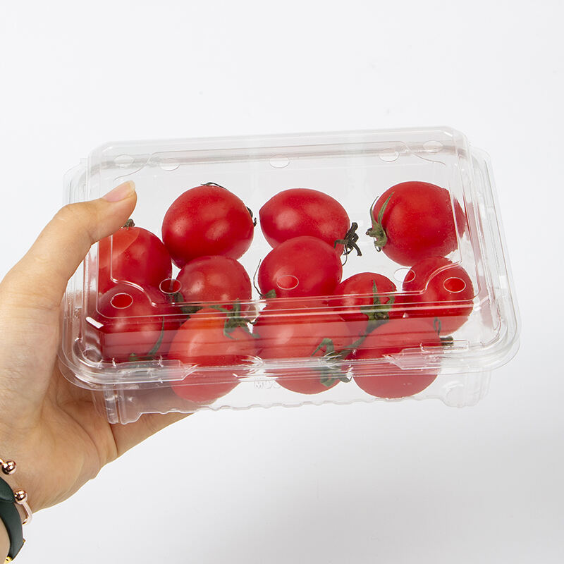 Factory price Wholesale Clear Container Clamshell Fruit Box For Supermarket Packaging