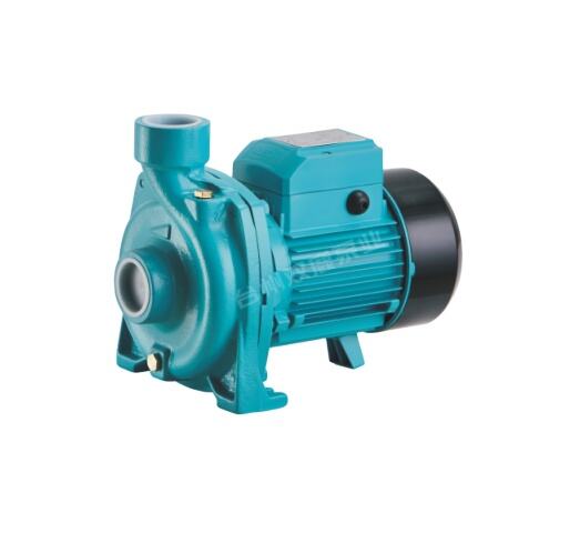 Domestic Qb Series Peripheral Pump 0.37kw 0.5hp Qb60 Electric Vortex Water Booster Pump Price supplier