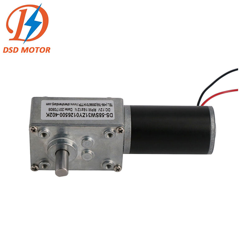 10nm torque dc motor Low Noise 58SW31ZY 58mm gearbox 12v 18v small worm gear dc electric motor for Vending Machine factory