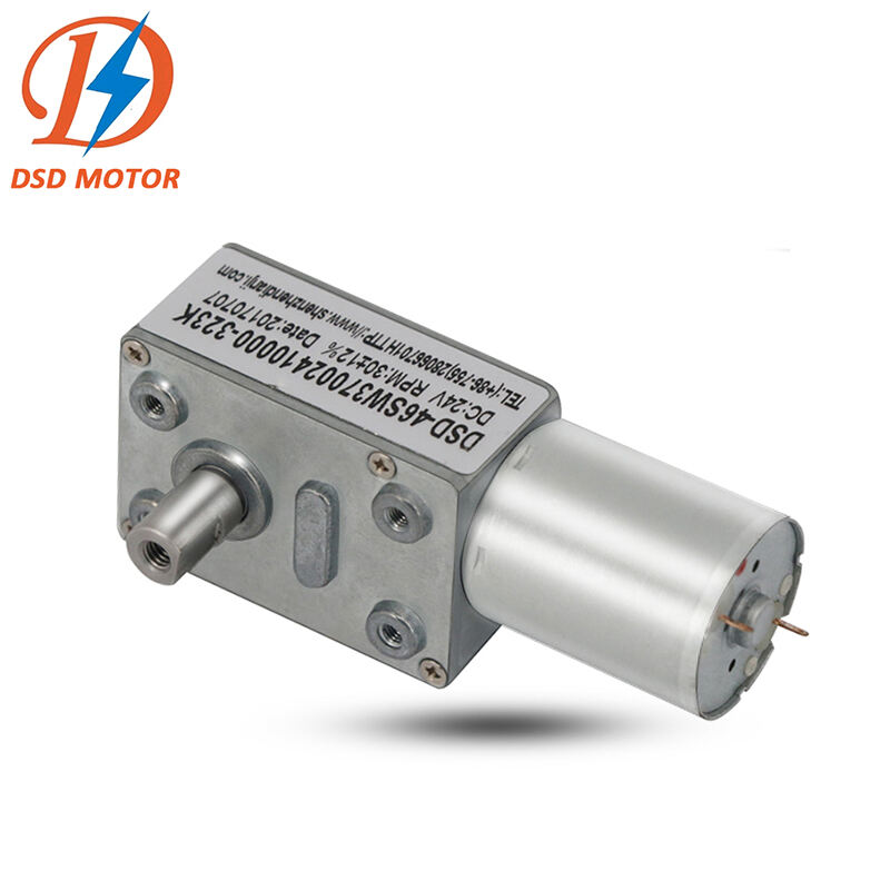 High torque low rpm small Micro electric worm gearbox motor drive 6v 12v 24v 370 brushless bldc worm gear dc motor supplier