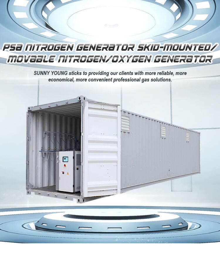 Waste treatment plant oxygen generation equipment nitrogen generator factory