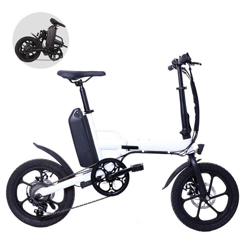 Foldable Electric Bike Brushless 36V 250W LED Light OEM Frame Battery Time Charging details