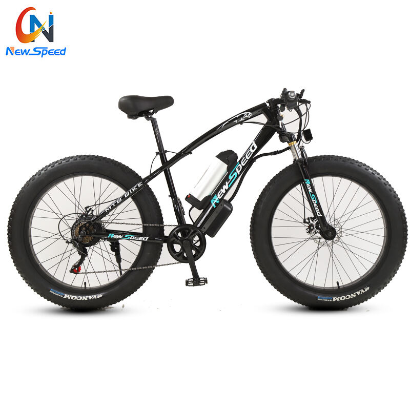 Factory Custom Electric Snow Bike Aluminium/Steel Frame 48V 300W 500 W E Bike Fatbike 24Speed Electric Bike supplier