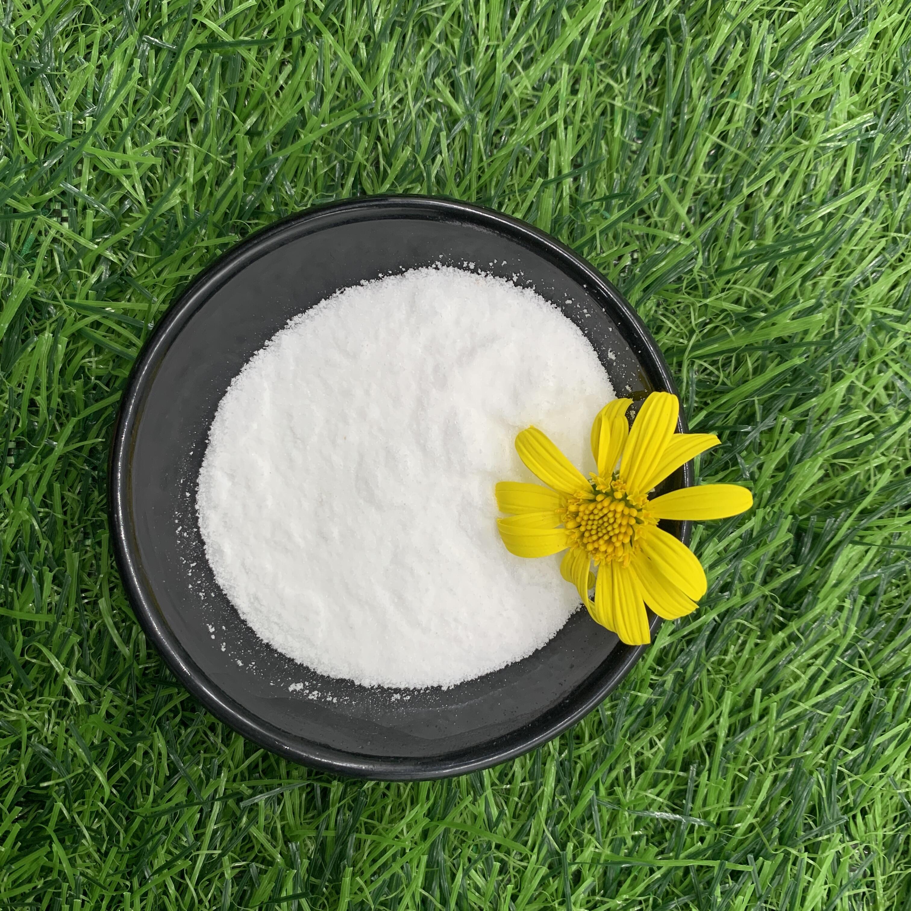 SUNDGE Latest model white crystal growth promoter 97% betaine powder CAS 107-43-7 Betaine Anhydrous details