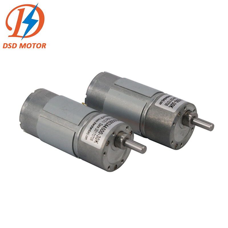 Mini Motor DC 12 Volt 3V 6V 24V High Torque Low Speed Reversed Electric Motor Reduction Engine 12v Gear Motor factory