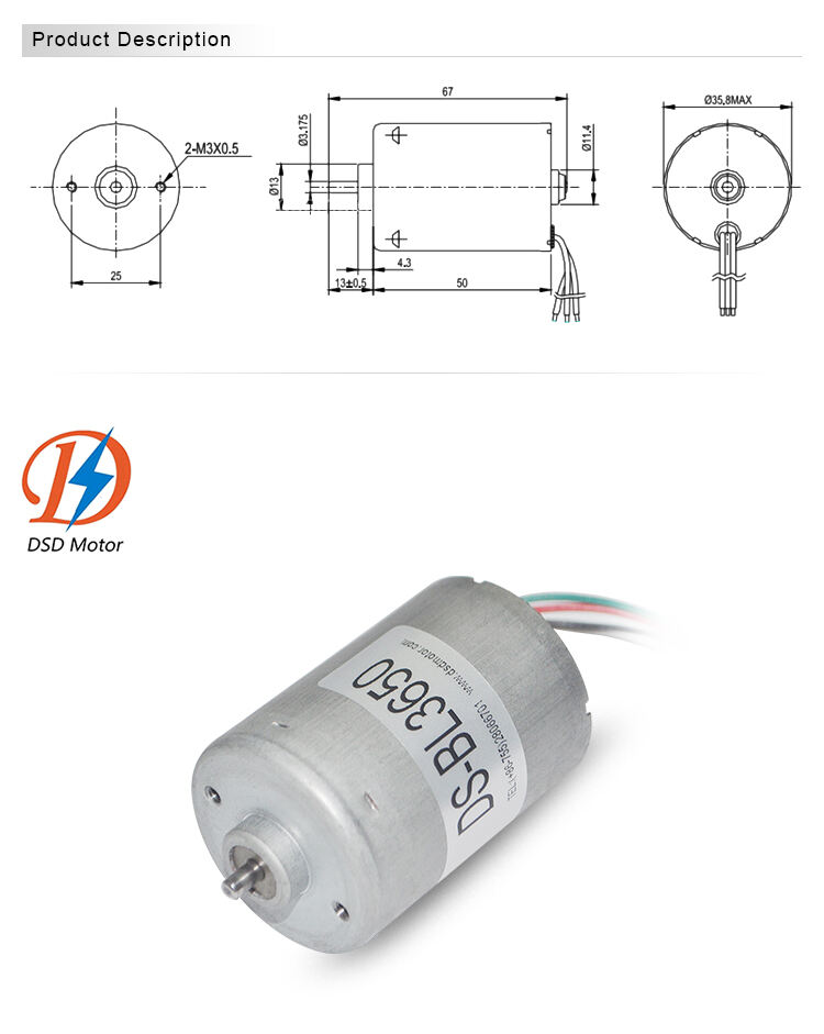 DSD-36RPBL3650 36mm DC Planetary Gear Motor High Torque Brushless 3650 DC Motor for massager manufacture