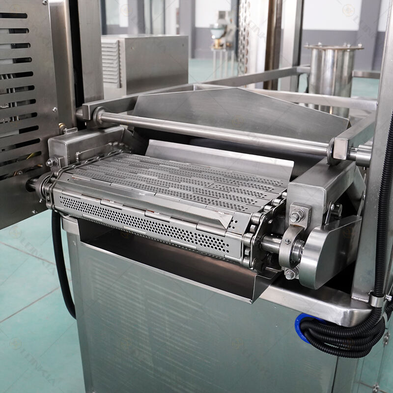 Continuous Frying Machine manufacture