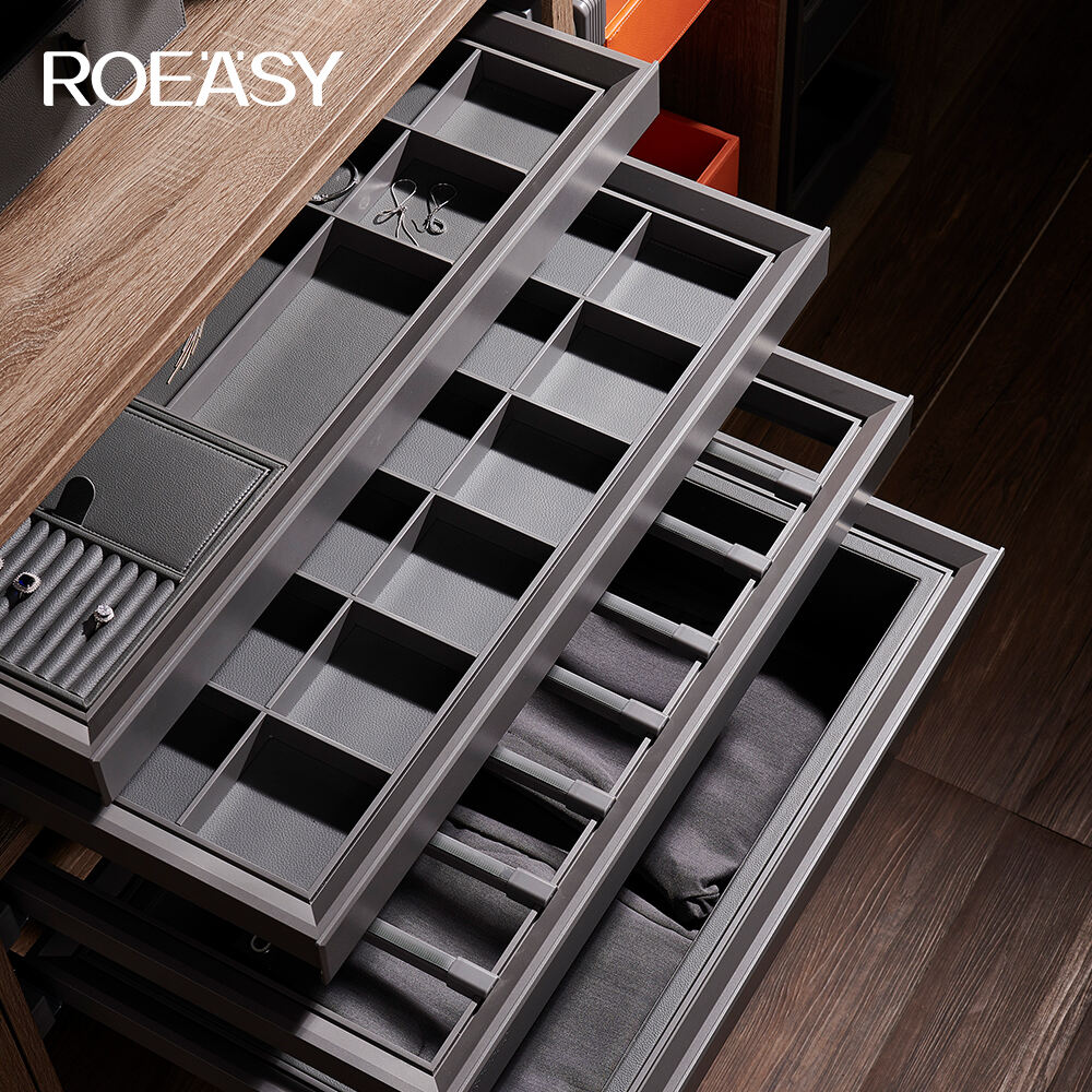 ROEASY R9001G étagère armoire série de rangement décorations extractibles à fermeture douce boîte de rangement décorative