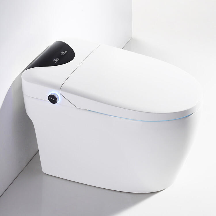 Full Function High-end Facilities WC Commode Sanitary Wares Smart Seat Ceramic Intelligent Toilet