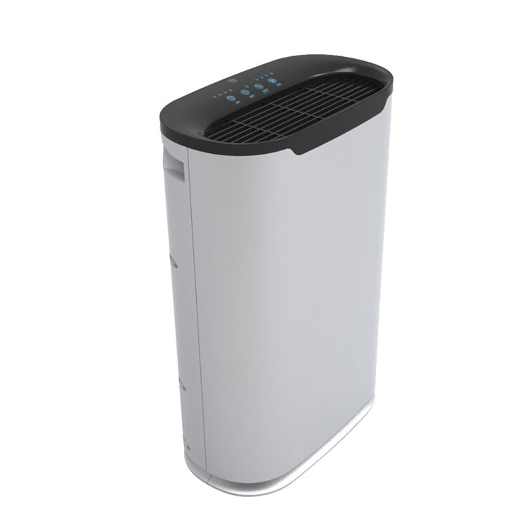 Factory Customized Uv Hepa Innovative Portable Ionized Protection Personal Home Air Purifier factory