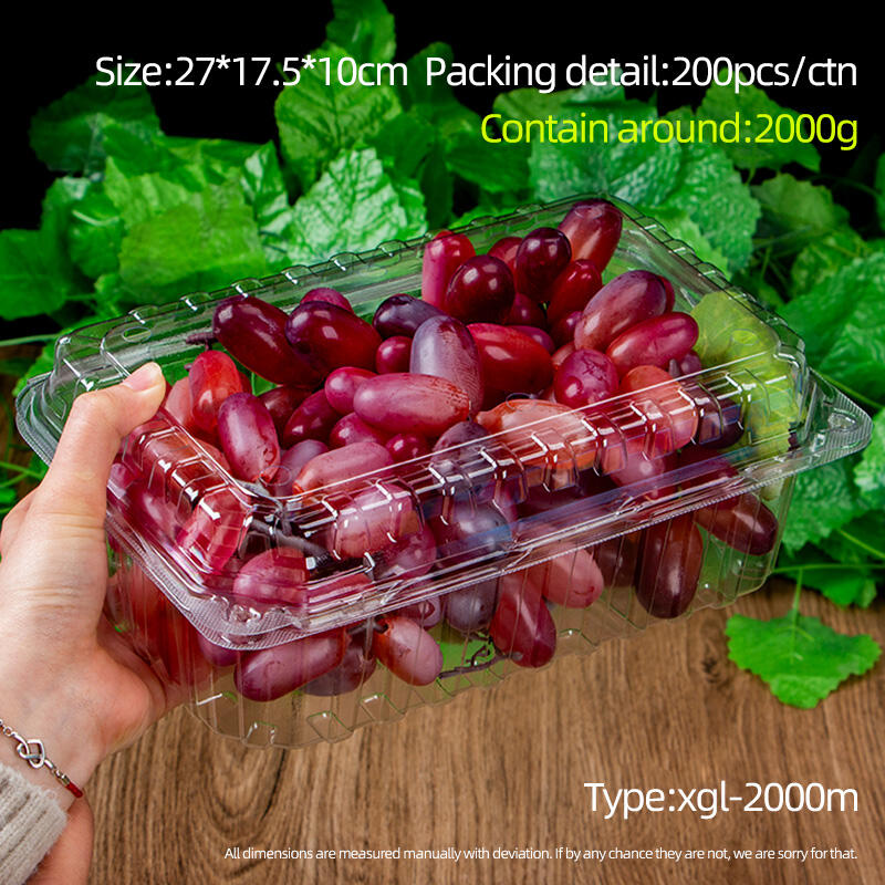 Competitive price and food grade PET plastic fruit package box in the supermarket display packing grape tomato strawberry supplier