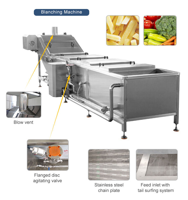 Fruits Vegetables Carrots Coconut Meat Mushroom Blanching Machine Continuous Almond Blancher Machine supplier