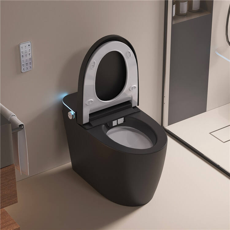 Modern Luxury Bathroom Sanitary Ware Ceramic Intelligent Toilet Bowl Bathroom Commode Ceramic Smart Toilet details