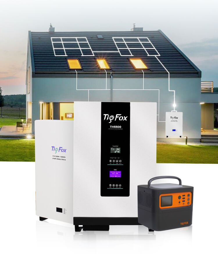 Tig Fox Energy Power Wall LiFePO4 Battery Pack 48V 5Kwh 10Kwh 20Kwh Home Solar Lithium Battery for Home Solar System details