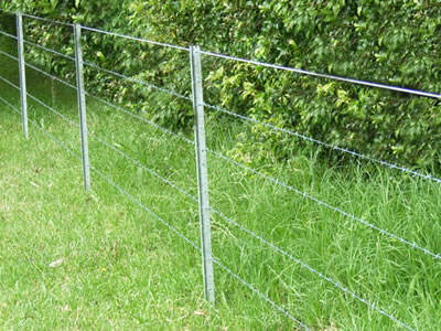 Australian Farm Fence Steel Y Post / Star Picket details