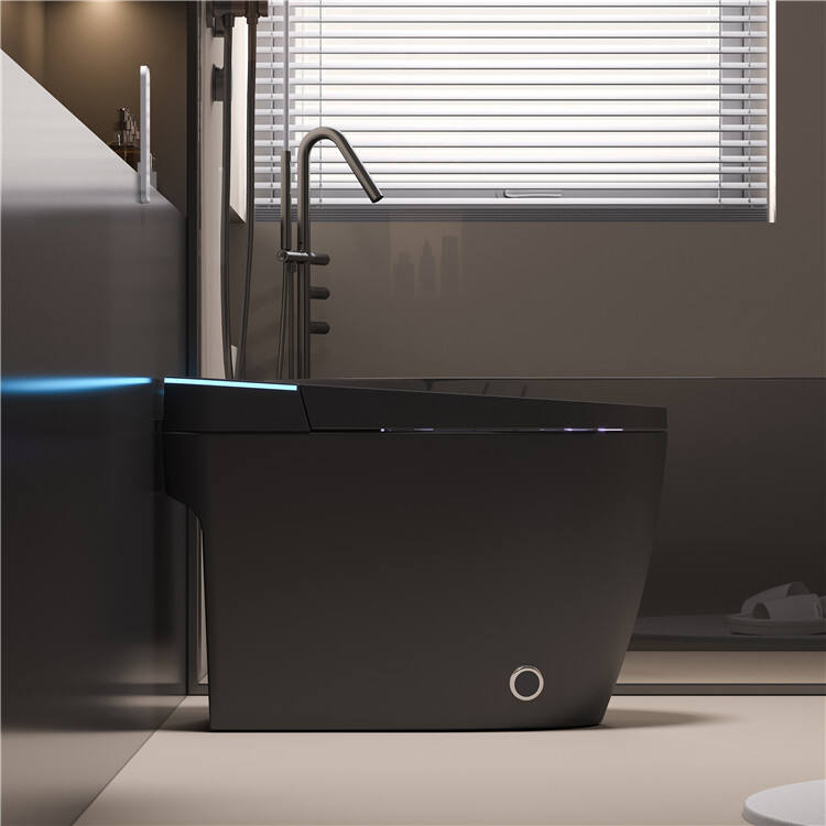 Modern Luxury Bathroom Sanitary Ware Ceramic Intelligent Toilet Bowl Bathroom Commode Ceramic Smart Toilet details