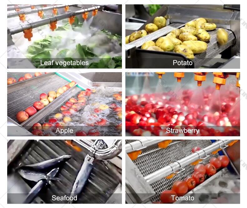 Tomato potato carrot ginger vegetable washing line fruit and vegetable washing drying Mango fruit cleaning machine details