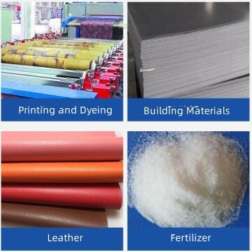 BANGZE Manufacture Fertilizer MgSO4 CAS7487-88-9 Anhydrous Magnesium Sulfate  Powder supplier