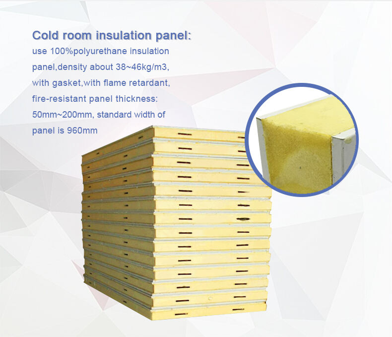 Insulation walk in Freezer room manufacture