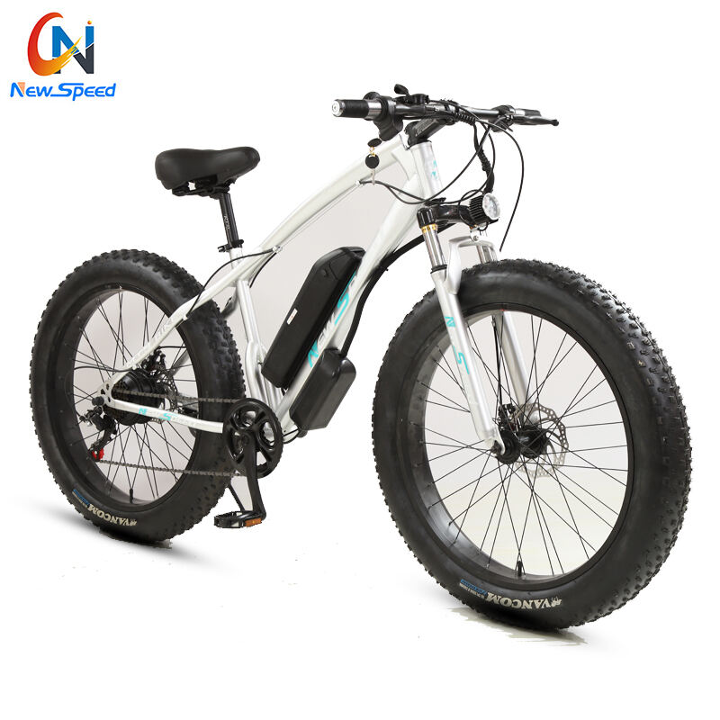 Factory Custom Electric Snow Bike Aluminium/Steel Frame 48V 300W 500 W E Bike Fatbike 24Speed Electric Bike details