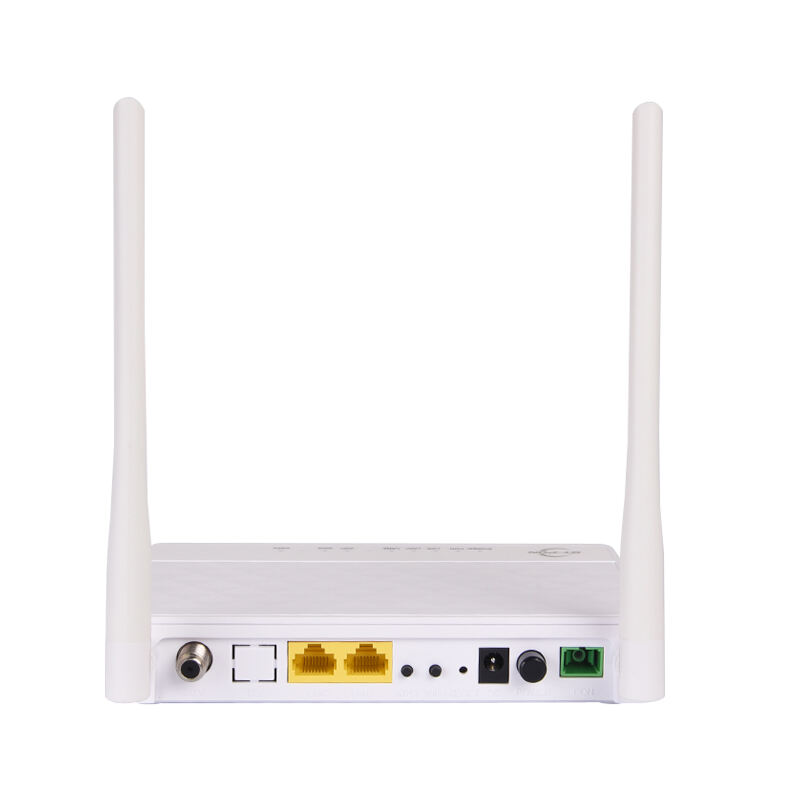 Flexible Configuration Management BT-213XR CATV WIFI xPON ONU