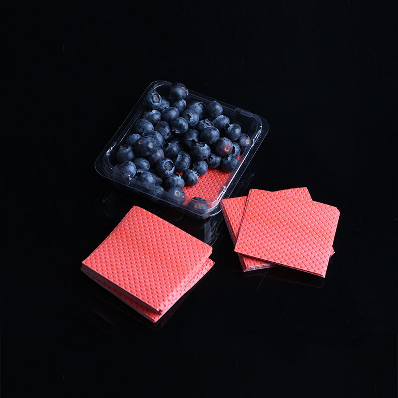 160*70,mm Fruit Disposable Food Grade Water Absorbent Pads for Fruit and Vegetable details
