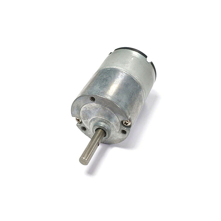 DSD-33RS520 Dia 33mm 6v 12-volt dc gear electric motor factory