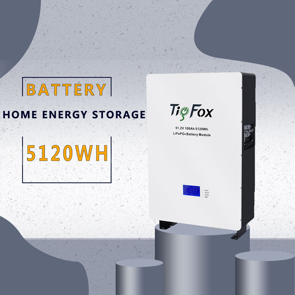 Tig Fox Energy Power Wall LiFePO4 Battery Pack 48V 5Kwh 10Kwh 20Kwh Home Solar Lithium Battery for Home Solar System manufacture