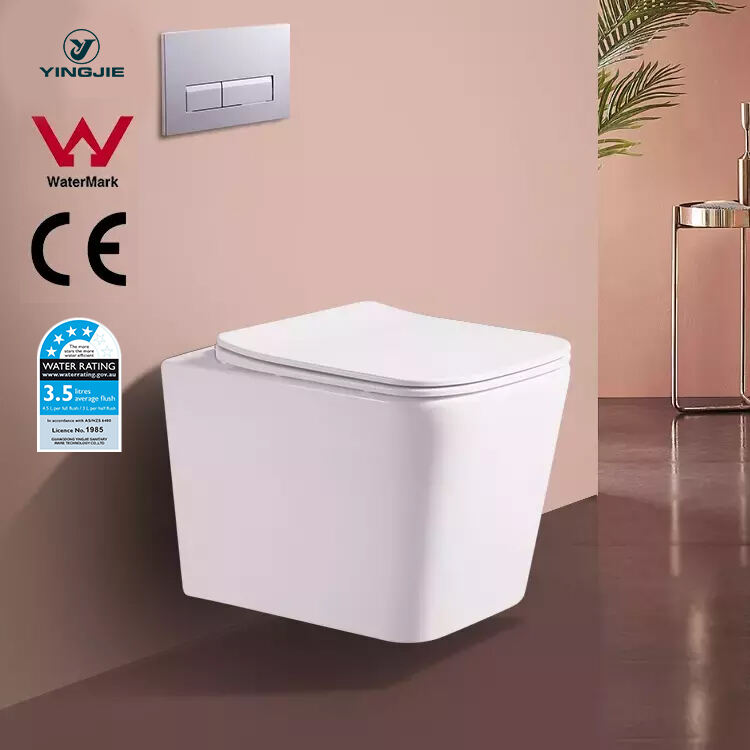 WATERMARK Rimless Waterless Washdown Toilet Bowl Seat WC Ceramic CE bathroom Ceramic Commode Sanitary Ware Wall Hung Toilet