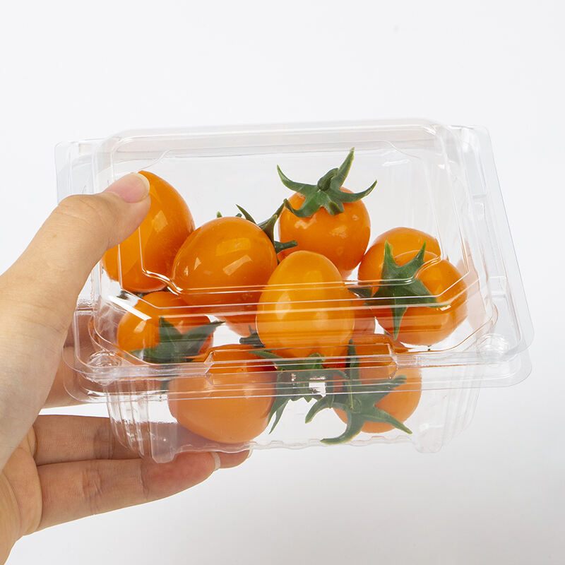 Factory price Wholesale Clear Container Clamshell Fruit Box For Supermarket Packaging