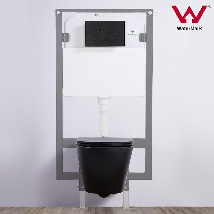 toilet tank and squatting pan concealed cistern with metal frame push button for wall hung toilet