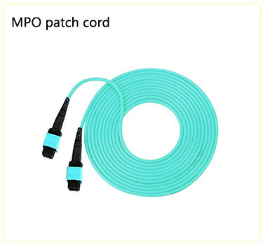 MPO patch cord.jpg