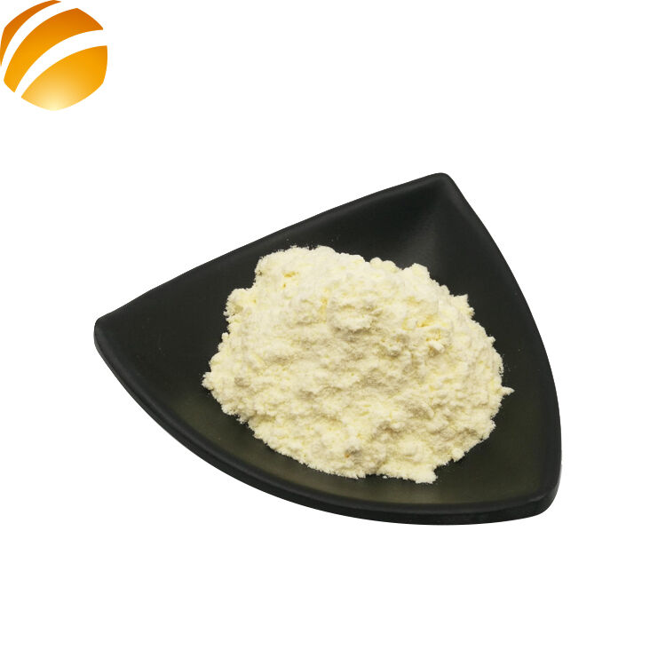 Lyophilized Royal Jelly Powder Pure Royal Jelly Extract