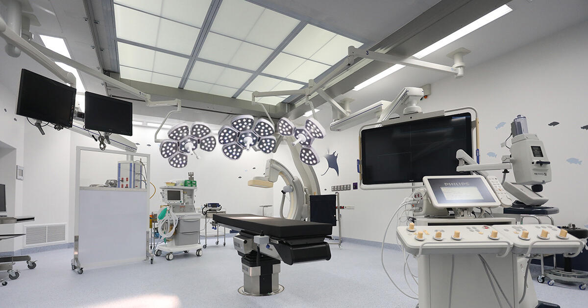 MICARE Flower LED E500/500 double arm light operation room LED Operating Light OR Light supplier