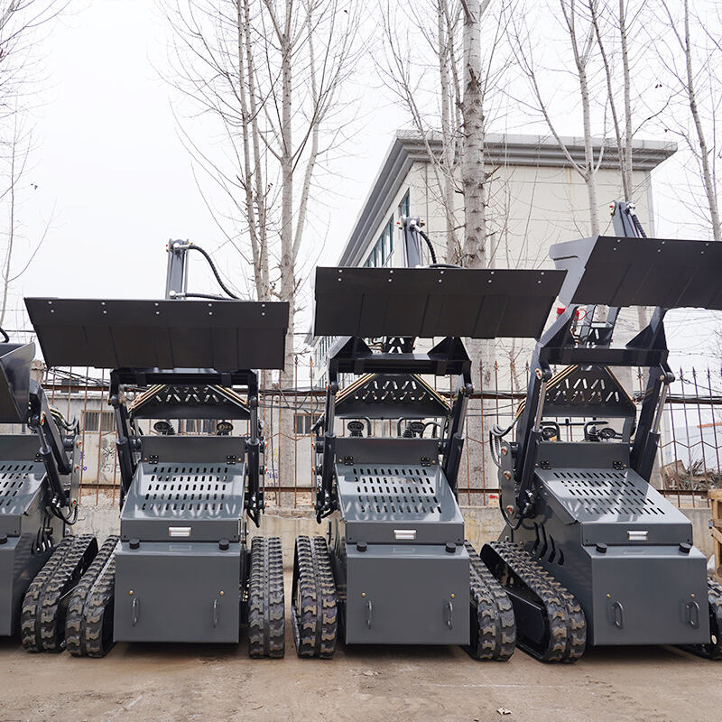 Skid steer loaders shipped to France