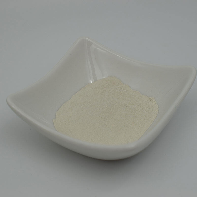 Chitosan Powder