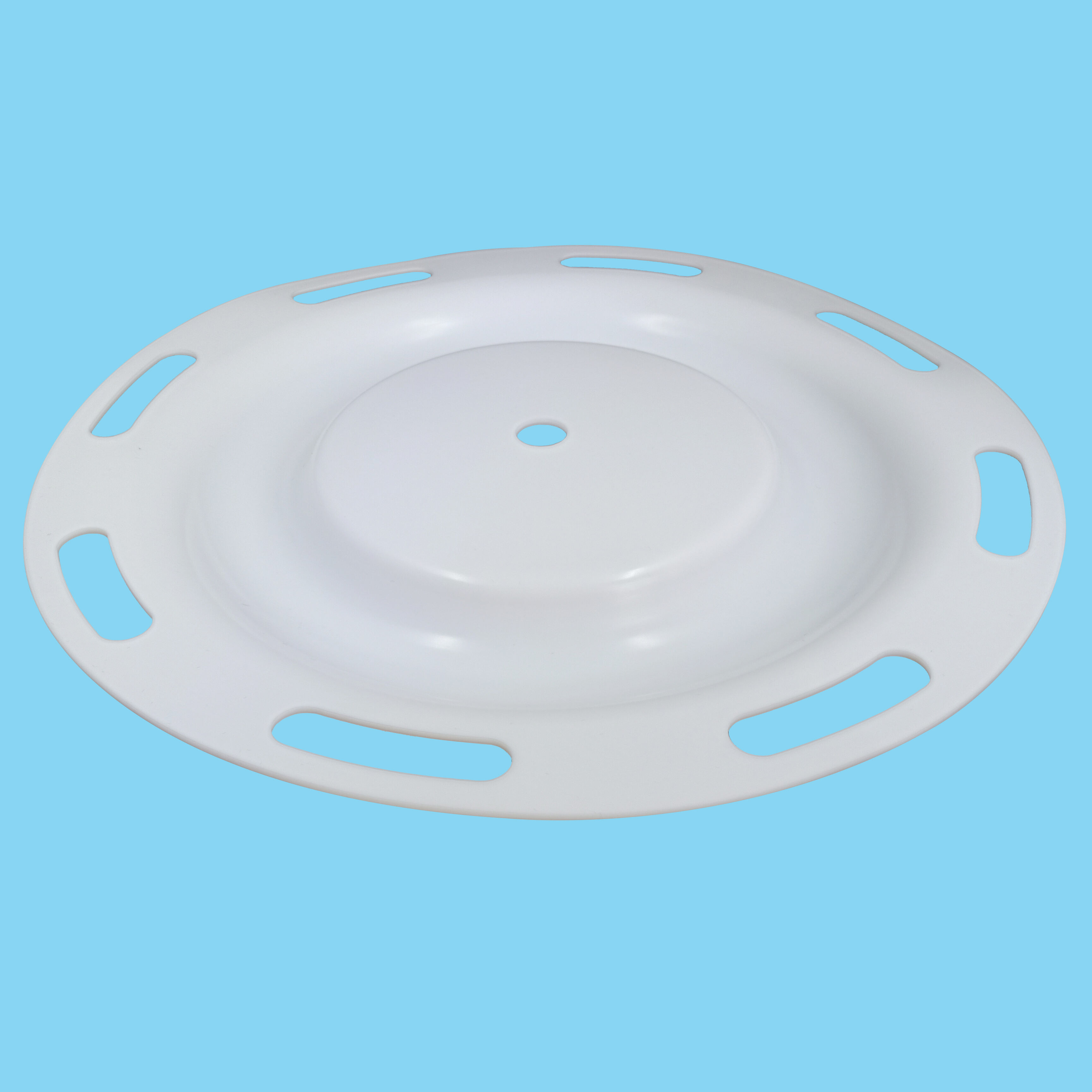 Diaphragm CF286.119.600 PTFE supplier