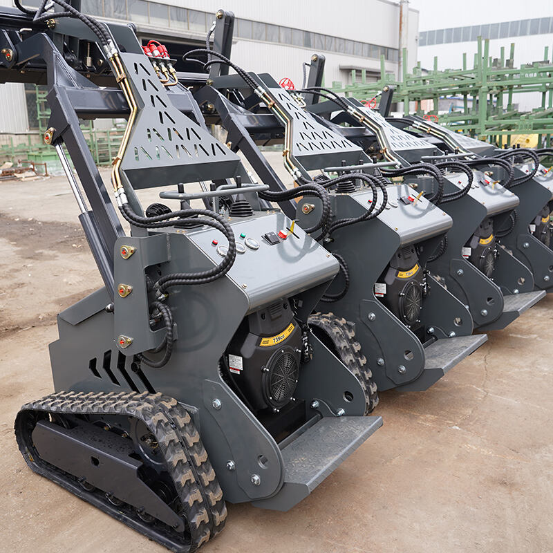 Skid steer loaders shipped to France