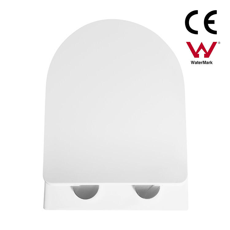 WATERMARK WC Ceramic Rimless bathroom European  Ceramic Toilet Sanitary ware wall hung toilet details