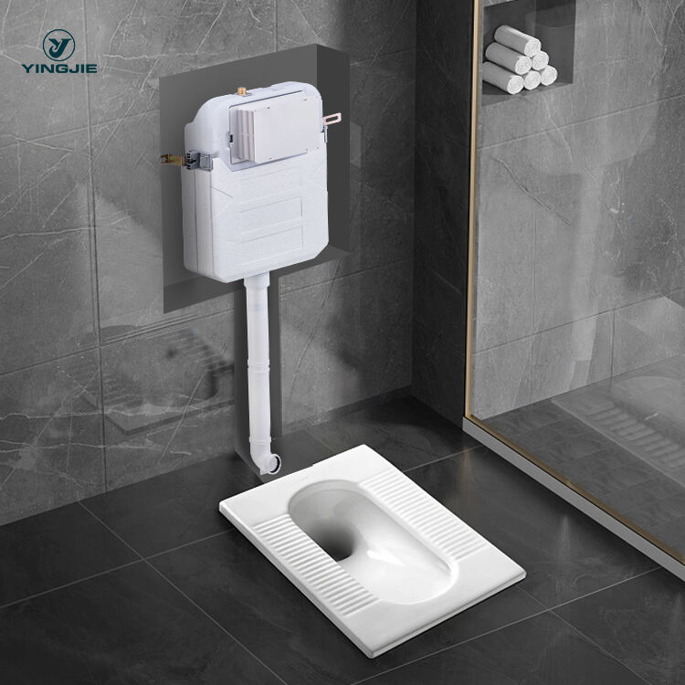 bathroom wc pressure washer with concealed water tank for wall hung toilet