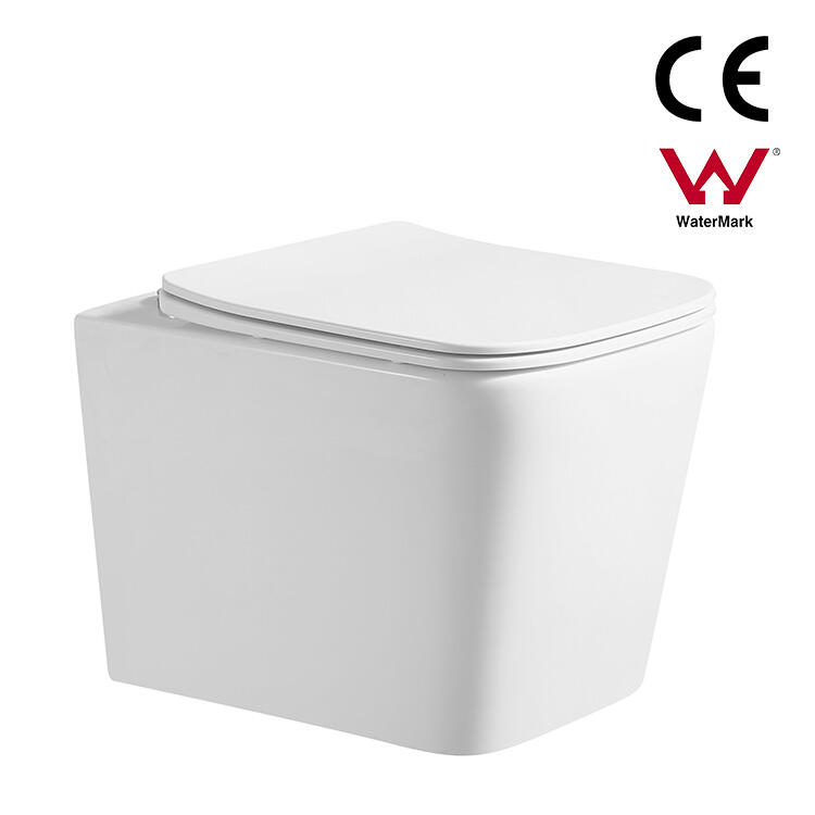 WATERMARK Rimless Waterless Washdown Toilet Bowl Seat WC Ceramic CE bathroom Ceramic Commode Sanitary Ware Wall Hung Toilet factory