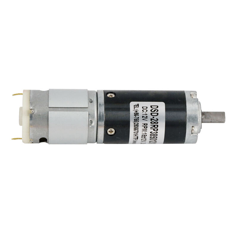 2023 28mm Permanent Magnet 385 395 DC Motor  12V 24V DC Planetary Gearbox Motor for Ovens and Grills supplier