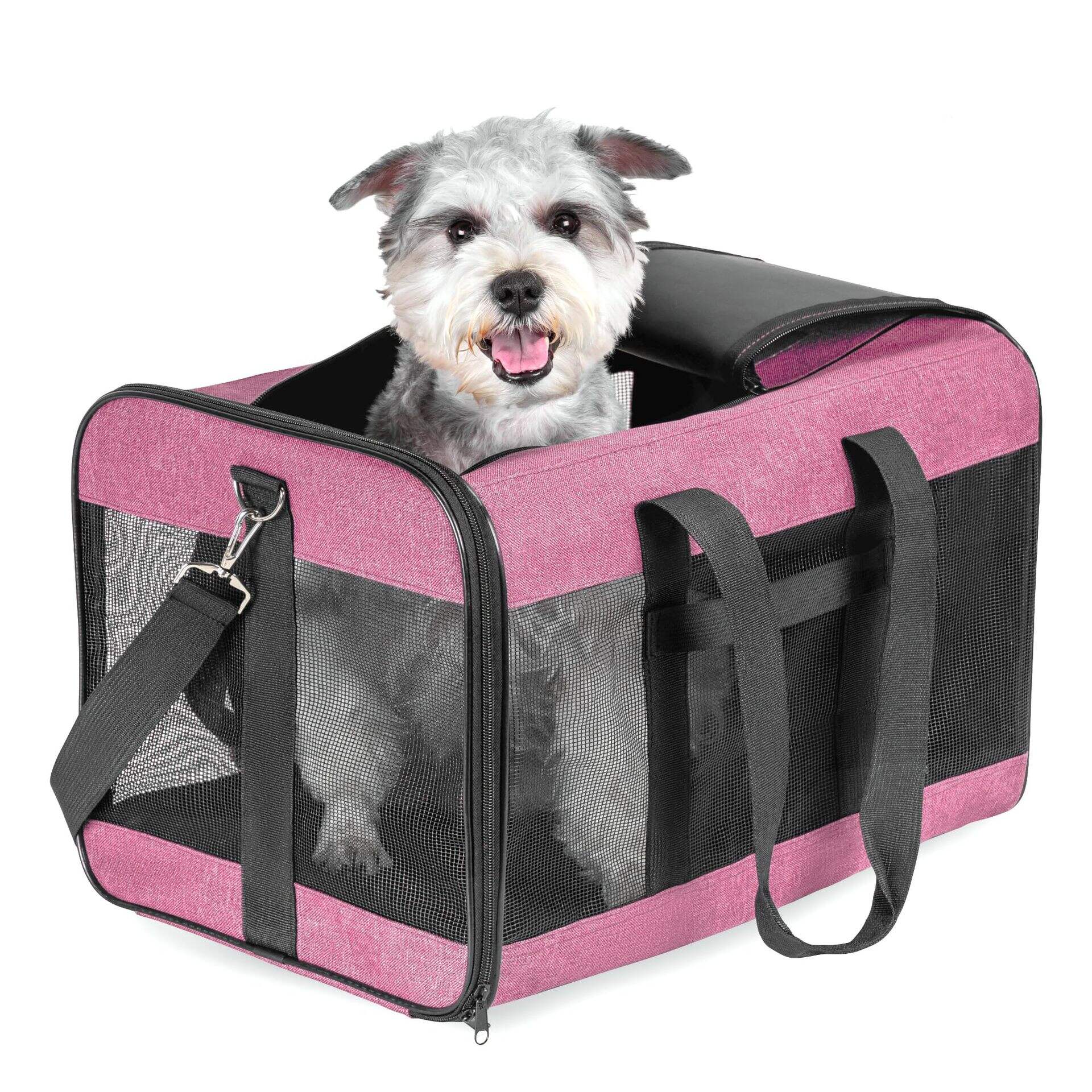 Hot sale High Quality Durable Cat Bag Pet Cages Carrier Pet Carrier bag for Travel details