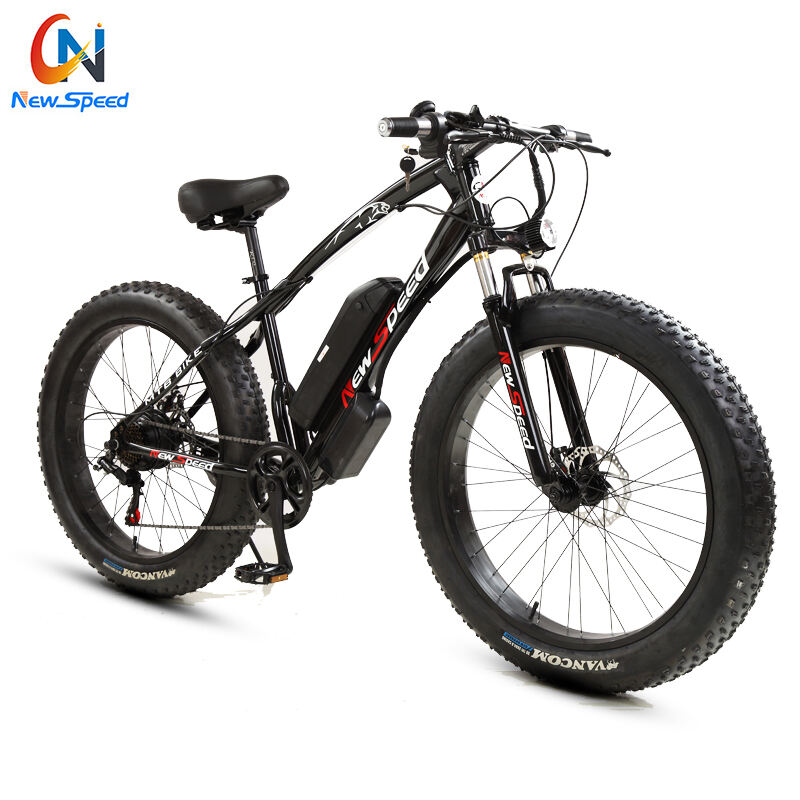 Factory Custom Electric Snow Bike Aluminium/Steel Frame 48V 300W 500 W E Bike Fatbike 24Speed Electric Bike supplier