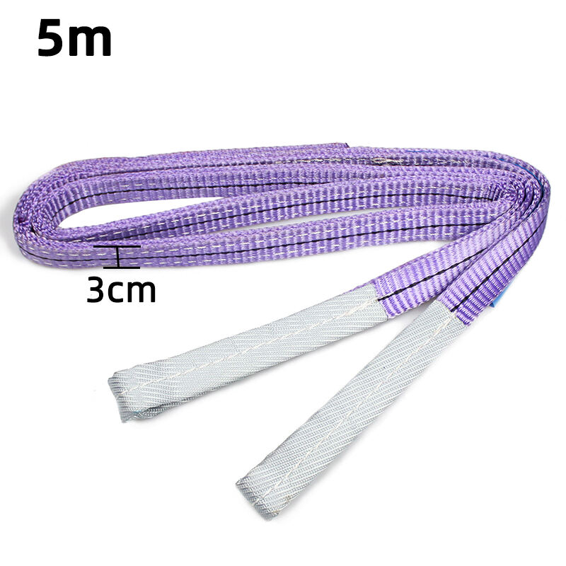 European Standard 1 Ton 3cmX5m Purple Lifting Belt Polyester Web Sling with Flat Eye factory